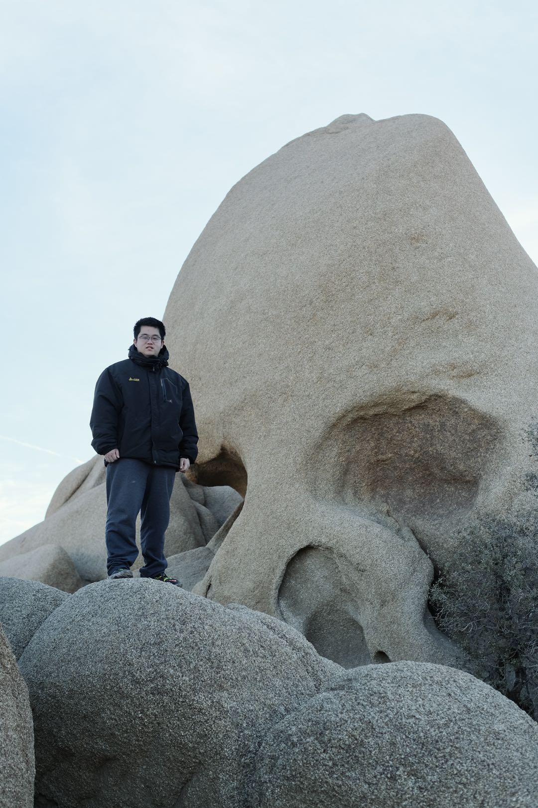 Stone Tong Zhang portrait